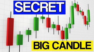 Secret of BIG Candles in Candlestick Charts | Option Chain Indicator | Rollover