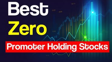 BEST ZERO Promoter Holding Shares (Hindi)