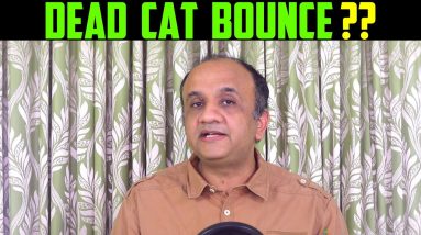 DEAD CAT Bounce Move in Share Market