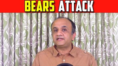 Bears Attack | Option Chain Indicator