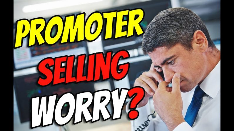 Promoter Selling - Should You WORRY?